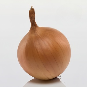 La fabbrica di verdure cinesi ha fornito verdure di tipo zenzero e cipolla appena colte colture di cipolla rosse e gialle Premium - Product Image 1