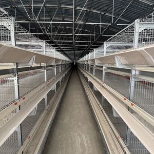 Sistema automatico 3/4/5/6 livelli a batteria gabbia galline ovaiole per strati di allevamento - Product Image 4