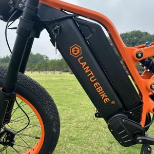 Lantu Factory AL6061 <b>Frame</b> Full Suspension Rear Hub Motor 1200W Long Range 24 Inch <b>Fat</b> Tire Dirt Bike for Adults - Product Image 2