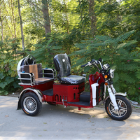 Tricycle de Mobilité pour Personnes Âgées et Handicapées, 125cc, Frein à Disque, Capot Personnalisé, Vente Directe Usine