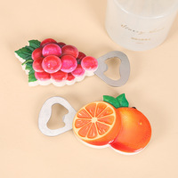 Koelkastmagneet Creatief Fruit Ins Stijl Gepersonaliseerde 3D Magnetische Drank Bier Wijnflesopener Cadeau Model YW-012