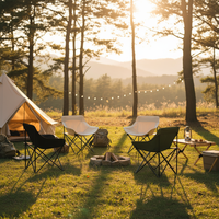 Chaise portable personnalisée en tube d'acier, pliable, de luxe, pour le camping, la randonnée, les voyages, adaptée aux animaux domestiques, confortable, pour l'extérieur, le jardin, la plage