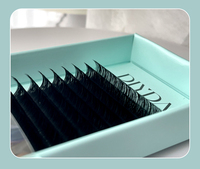 DIYDAY Cils individuels classiques Premium PBT B C CC D DD Curl Marque privée Extensions de cils en vison artificiel