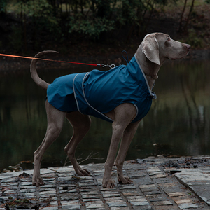 <span class=keywords><strong>Impermeabile</strong></span> personalizzato per cani da compagnia autunno e inverno giacca <span class=keywords><strong>impermeabile</strong></span> per cani da esterno cappotto per cani di taglia grande e media - Product Image 4