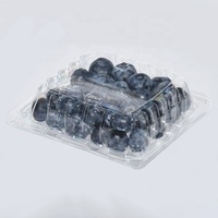 4,4 oz Blauwe Bes Plastic Recyclebare PET Clamshell Verpakking 125g Fruit Transparante Framboos Kersen Bramen Bessen Verpakkingen