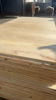Palette en bois d'extérieur de qualité supérieure, conception industrielle de première classe, colle WBP, peuplier, normes d'émission de formaldéhyde E2