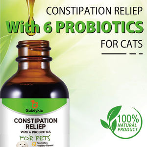 Produsen ODM suplemen nutrisi hewan peliharaan anjing mencret pembelian terhadap peraturan perut perawatan kesehatan - Product Image 3