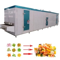 Bevroren Fruit & Vegetable Verwerking Productielijn Bevroren Wortel Blokjes Machine