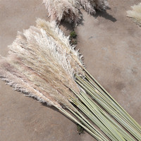 Buket rumput Pampas kering alami elegan untuk dekorasi rumah Hari Ibu & Paskah Hari Valentine Natal pernikahan