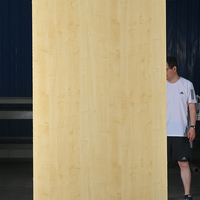 Lembaran HPL (High Pressure Laminate) Tahan Api dan Tahan Air dengan Pola Kayu dan Batu Dekoratif untuk Penutup Permukaan Furnitur Kabinet
