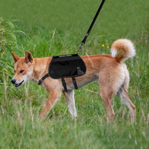 <span class=keywords><strong>Collar</strong></span> de perro de servicio de nuevo diseño 2023, <span class=keywords><strong>collar</strong></span> de perro personalizado de fábrica con diseño de tira reflectante ajustable - Product Image 6