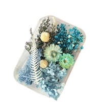 Kotak Bunga Kering Diawetkan Distabilkan DIY Seni Resin Campuran Bunga Kering Multiwarna Alami Bahan Bunga Kering Grosir Set