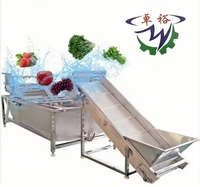 Commerciële Industriële Luchtbel Fruit Avocado Mango Groente Aardappel Water Wasmachine/Bevroren Groente Productielijn