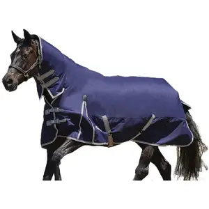 BSCI factory custom logo waterproof blanket Essential Standard Neck Horse Turnout Sheet