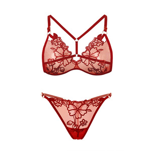 Ensemble de lingerie triangle <span class=keywords><strong>France</strong></span> pour femmes, soutien-gorge femme uni avec broderie en maille Y et décoration en dentelle, grande taille - Pur désir - Product Image 3