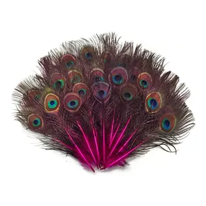 Natural Peacock Eye Feathers 10-12 Inches Decorative Feather Crafts Wedding  Decoration Clothing Accessories