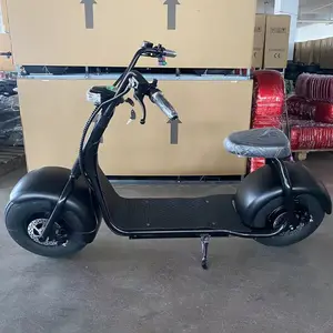 Citycoco Portable pour adolescents, Scooter électrique puissant et pliable, marque privée, Scooter chinois