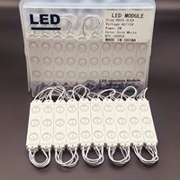 Módulo LED AC110V 220V SMD2835 3 LEDs IP67 IP65 2W 98*20mm Luz Blanca Cálida de Alto Brillo para Letras
