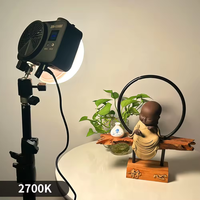Vente chaude Mini Portable pour Voyage LED COB Poche Remplissage Lumière 100W Softbox Poche Caméra Remplissage Lumière Photographie Éclairage Kit