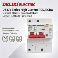 DELIXI RCBO 2P 100A Tipo D 30mA Interruptor Diferencial 230V Protección Contra Fugas a Tierra Certificado CE para el Hogar