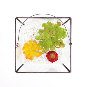 glas antik geometrisches <span class=keywords><strong>terrarium</strong></span> für pflanzen container vertikaler moderner pflanzer fensterbank dekor