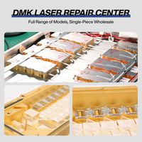 Sumber Pompa Asli Raycus 120W 250W 370W 500W Modul Pompa Laser Serat untuk Perbaikan dan Penggantian Mesin Laser Serat