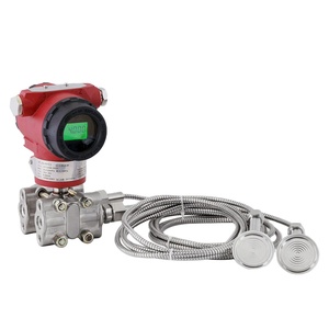 Sensores Diferenciales de Nivel de Agua Remotos ATEX 3051 en Venta - Product Image 2