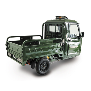 Triciclos Eléctricos Cerrados con Certificación CE, COC, EEC y DOT, 2000W 25km/h, 3000W 45km/h, Motocicletas Eléctricas y Tuk Tuk para Adultos - Product Image 1