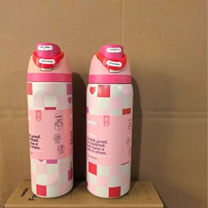 DF FreeSip North American Dual-Drink Water Bottle, <b>Large</b> Capacity, Straw <b>Cup</b>, Handheld <b>Cup</b>, Stainless Steel <b>Cup</b>. - Product Image 2