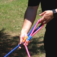 Laisse pour chien classique de 1,2 m en corde de polyester souple pour chiens à forte traction, design simple et moderne PETBOS