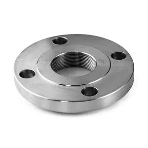 DIN BS EN ANSI B16.5 Stainless Steel ASTM A105 Carbon Steel BSP NPT Male Threaded Forged Casting Pipe Fittings Flange