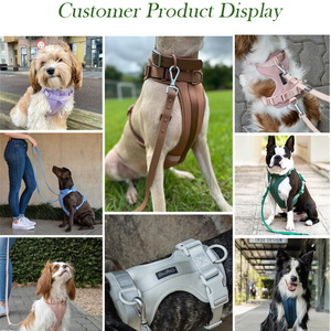 Venta caliente suministros para perros logotipo personalizado de lujo impermeable PVC poliéster mascota arnés <span class=keywords><strong>Collar</strong></span> Correa conjunto con soporte para bolsa de caca - Product Image 4