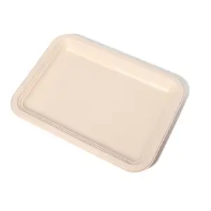 Rectangular And Square Sugarcane Bamboo Pulp Fruit And Vegetable Trays Customized For Environmentally Friendly One-time