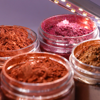 Factory Price Non-toxic Multi-color <strong>Best</strong> <strong>Selling</strong> Cosmetic Grade <strong>Pearl</strong> Pigment Mica <strong>Powder</strong> for Eyeshadow