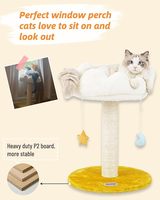 Meilleures ventes : Arbre à chat d'intérieur écologique, grand format, avec griffoir et tissu en sisal, emballage carton