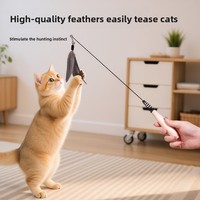 Jouet pour chat avec plumes CFA CW-D013 à long manche – Idéal pour chatons et petits chats – Parfait pour l'auto-entretenissement et amuse les animaux de compagnie