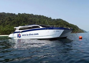 Gospel Big Ferry Passenger Ship Catamaran Offshore Transportation 16m