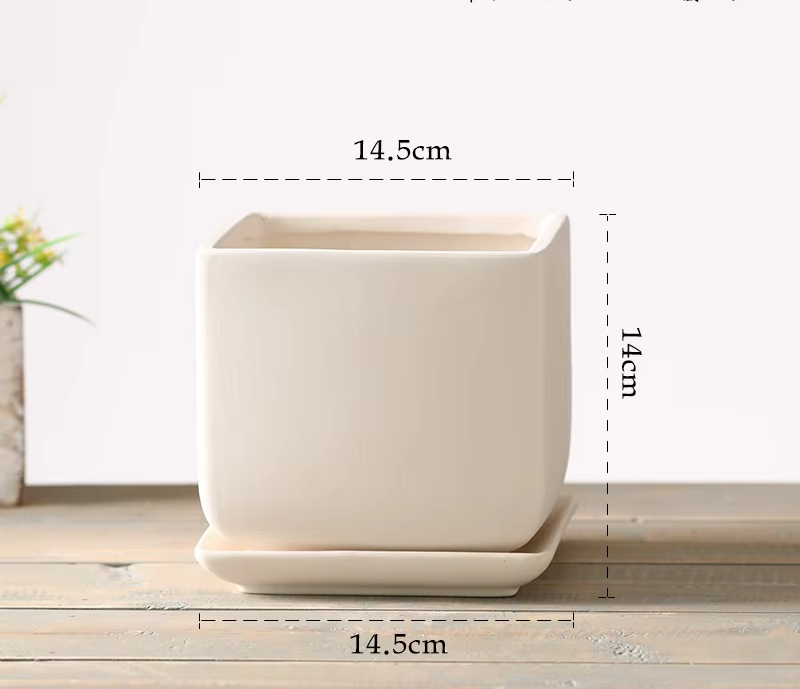square medium size 14.5cm (with tray