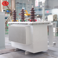 Transformateurs de distribution immergés dans l'huile Xinghe S-M-630/15 triphasés 15kV-35kV 480V 400-630kVA à bobinage en cuivre et bobine toroïdale