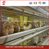 Cages à poulets fantaisie en Chine Fournisseur de cages à borier automatiques à cadre en H Cages à poulets de chair automatiques à 4 niveaux en gros