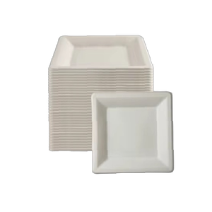 Platos Cuadrados Desechables Biodegradables de 8 Pulgadas al por Mayor, Platos de Bagazo de Caña de Azúcar para Restaurantes y Hogares - Product Image 4