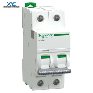 A92MC225 A92MC232 A92MC240 A92MC250 A92MC263 A9 Pro IC65M MCB <span class=keywords><strong>2P</strong></span> Curva C Nuevo Original Schneider - Product Image 1