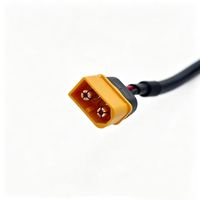 Connecteurs de chargeur de batterie personnalisés en usine Amass XT30 XT30U XT60 XT60U XT90 XT90S et T-Plug avec câbles d'alimentation/rallonges