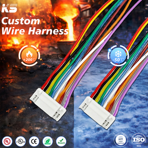 定制 1 毫米间距 2-10 针适配器电缆组件 铜芯 PBT 绝缘 PVC 护套 OEM 长度，适用于 PCB 电池应用 - Product Image 1