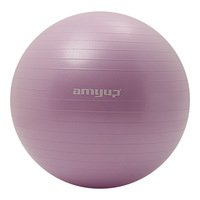 Ballon de yoga en PVC épaissi anti-explosion, diamètre 55 cm, pour fitness, enfants, accouchement assisté, intégration sensorielle, équilibre