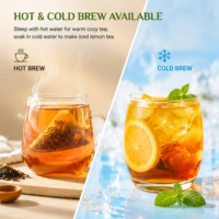 Sachets de thé noir glacé au citron et au miel, marque privée OEM, pour vente en gros, boisson estivale, sachet refermable