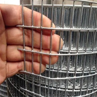 Ruban de maille de fil galvanisé scellé, 1x1, prix de gros d'usine, haute qualité, 1x1
