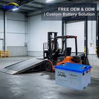 Batterie de traction pour chariot élévateur à technologie LFP avancée 38,4 V 300 Ah, charge équilibrée, légère, pour équipement d'entrepôt, CE RoHS