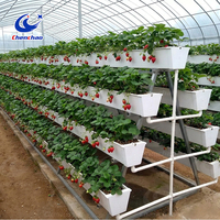Système hydroponique vertical intelligent pour serre, système de gouttières en A pour fraises, bac de plantation en PVC pour l'agriculture commerciale