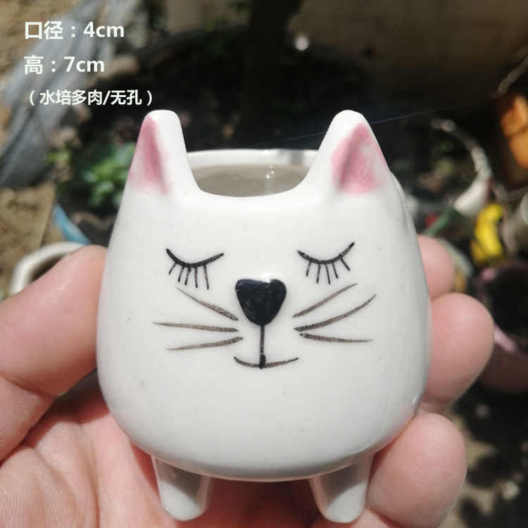 Hc-001-cat without holes